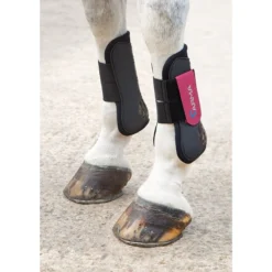 Shires ARMA Tendon Boots - Black/Raspberry
