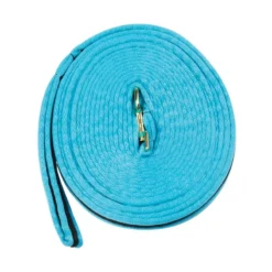 Kincade Brights Two Tone Padded Lunging Line - Aqua/Black