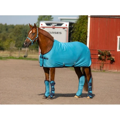 Amigo Jersey Cooler - Delphinium Blue/Navy -Cheap Equine Nest Store 339899 800 800