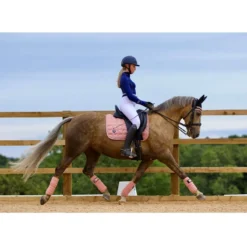 Woof Wear Vision Ergonomic Ear Net - Black/Rose Gold -Cheap Equine Nest Store 389044 800 800