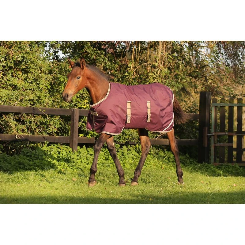 Amigo Foal Ripstock Turnout 200g - Fig/Navy/Tan 1 Amigo Foal Ripstock Turnout 200g - Fig/Navy/Tan