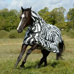 Bucas Sweet Itch Sheet - Zebra