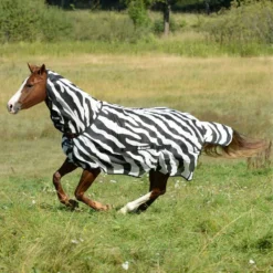Bucas Buzz Off Full Neck Fly Sheet - Zebra