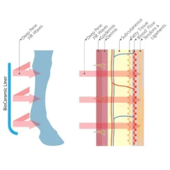 Woof Wear Stable Boots W/Bio-Ceramic Liners - Black -Cheap Equine Nest Store 409939 800 800