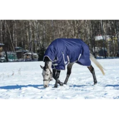 Weatherbeeta Comfitec Essential Combo Neck Heavy - Navy/Silver/Red -Cheap Equine Nest Store 413059 800 800