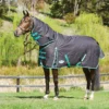 Weatherbeeta Green-Tec 900D Detach-A-Neck Medium Turnout Blanket - Black/Bottle Green