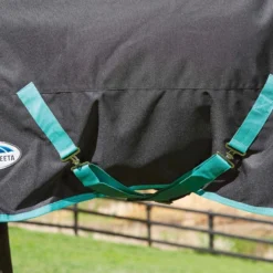 Weatherbeeta Green-Tec 900D Detach-A-Neck Medium Turnout Blanket - Black/Bottle Green -Cheap Equine Nest Store 413686 800 800