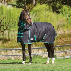 Weatherbeeta Green-Tec 900D Detach-A-Neck Medium Turnout Blanket - Black/Bottle Green -Cheap Equine Nest Store 413688 800 800