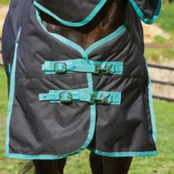 Weatherbeeta Green-Tec 900D Detach-A-Neck Medium Turnout Blanket - Black/Bottle Green -Cheap Equine Nest Store 413689 800 800