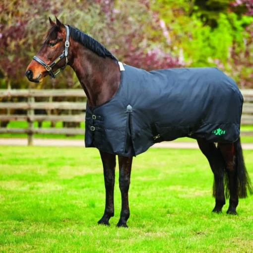 Saxon 1200D W/Gusset Standard Neck Lite II - Black/Black -Cheap Equine Nest Store 441458 800 800