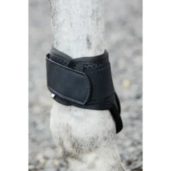 Weatherbeeta Lite Fetlock Boots - Black 12 Weatherbeeta Lite Fetlock Boots - Black -Cheap Equine Nest Store 442524 800 800