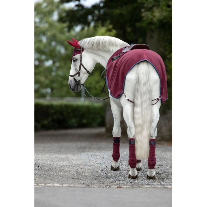 Rambo Competition Sheet - Burgundy/Burgund/Teal/Navy 2 Rambo Competition Sheet - Burgundy/Burgund/Teal/Navy - Image 2