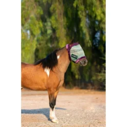 Kensington Mini Fly Mask W/Plush Fleece Trim - Imperial Jade