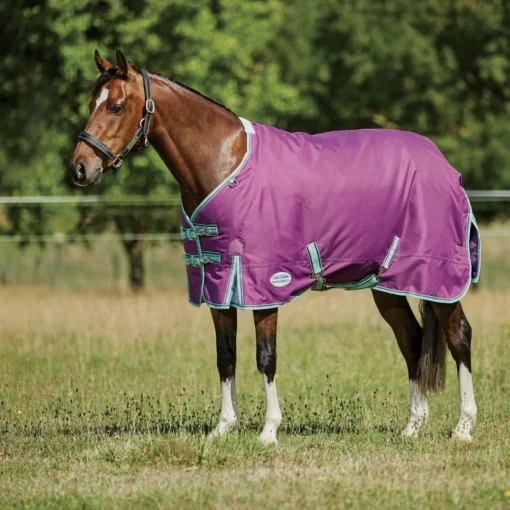 Weatherbeeta Comfitec Premier Freedom Pony Standard Neck Lite - Purple/Navy/Mint -Cheap Equine Nest Store 448596 800 800
