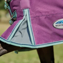 Weatherbeeta Comfitec Premier Freedom Pony Standard Neck Lite - Purple/Navy/Mint -Cheap Equine Nest Store 448600 800 800