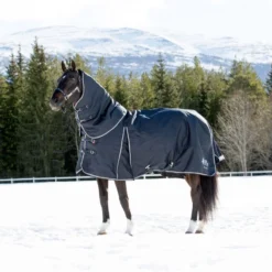 B Vertigo Georgina Medium Weight Turnout Blanket - Dark Navy