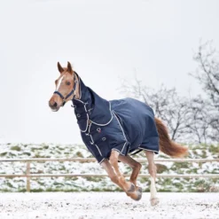 B Vertigo Georgina Medium Weight Turnout Blanket - Dark Navy -Cheap Equine Nest Store 451391 800 800