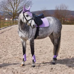 Horze Adepto Fetlock Boots - Languid Lavender Purple -Cheap Equine Nest Store 454416 800 800