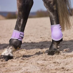 Horze Adepto Fetlock Boots - Languid Lavender Purple -Cheap Equine Nest Store 454417 800 800