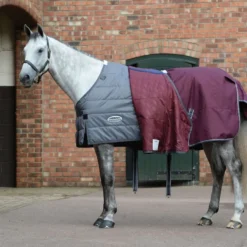 Weatherbeeta Comfitec Plus Dynamic II Standard Neck Medium/Lite - Maroon/Grey/White 13 Weatherbeeta Comfitec Plus Dynamic II Standard Neck Medium/Lite - Maroon/Grey/White -Cheap Equine Nest Store 474163 800 800