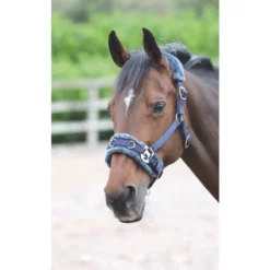 Shires Fleece Lined Lunge Cavesson - Navy