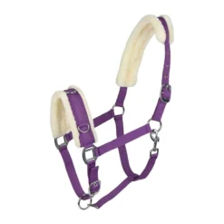 Horze Lunging Cavesson - Purple