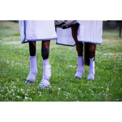 Amigo Flyboots - Lavender -Cheap Equine Nest Store 484951 800 800