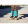 Kensington Mini Bubble Fly Boots (Set Of 4) - Atlantis