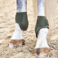Horze Adepto Fetlock Boots - Beetle Khaki Green -Cheap Equine Nest Store 532760 800 800