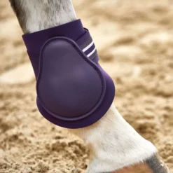 Horze Adepto Fetlock Boots - Black Currant Purple -Cheap Equine Nest Store 532797 800 800