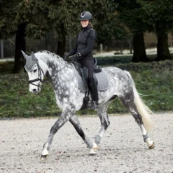 Horze Adepto Tendon Boots - Steel Grey -Cheap Equine Nest Store 533465 800 800