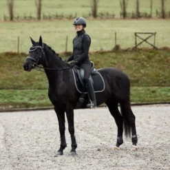 Horze Adepto Fetlock Boots - Black -Cheap Equine Nest Store 533529 800 800