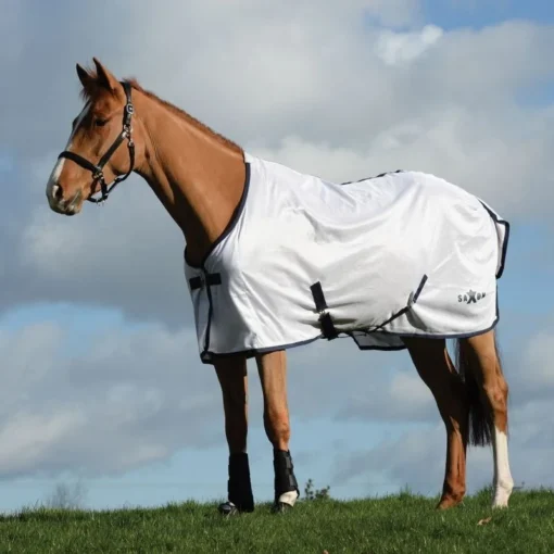 Saxon Mesh Standard Neck - White/Navy -Cheap Equine Nest Store 535340 800 800