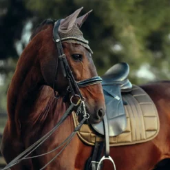 B Vertigo Drew Ear Net - Cub Brown -Cheap Equine Nest Store 545025 800 800