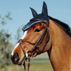 Horze Ella Pony Ear Net - Peacoat Dark Blue -Cheap Equine Nest Store 545169 800 800