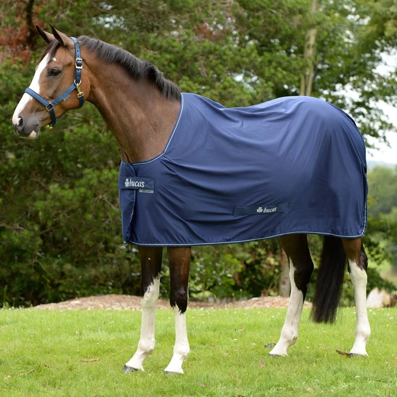 Bucas Shamrock Power Cooler - Navy 1 Bucas Shamrock Power Cooler - Navy