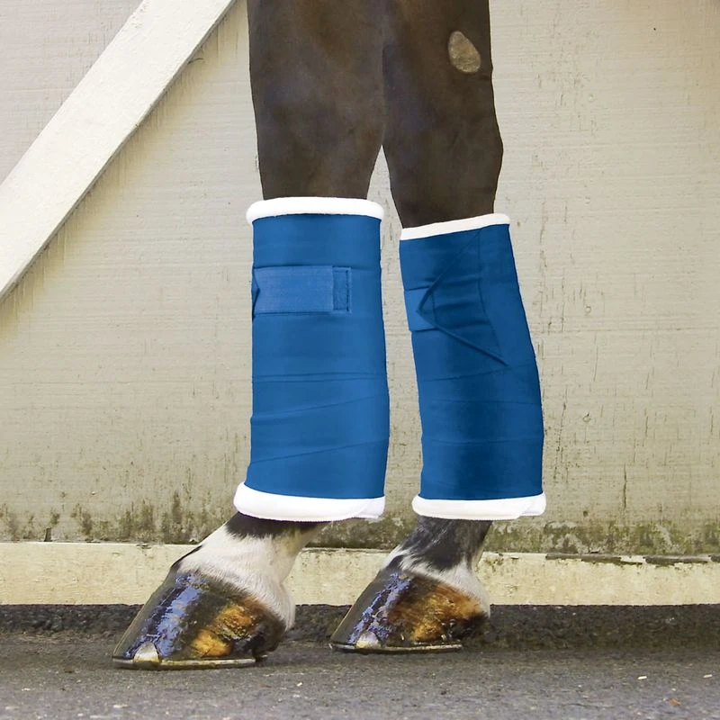 Toklat Standing Bandages - Blue 1 Toklat Standing Bandages - Blue