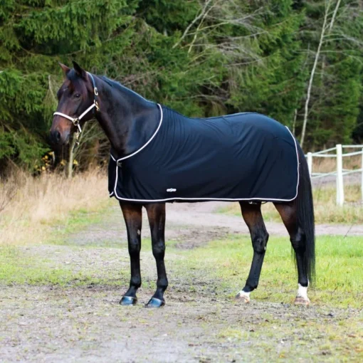 Finntack Pritex Summer Sheet - Black/Black/White/Silver 4 Finntack Pritex Summer Sheet - Black/Black/White/Silver -Cheap Equine Nest Store 552654 800 800