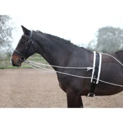 Shires Lunging Aid - Black -Cheap Equine Nest Store 553778 800 800
