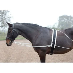 Shires Lunging Aid - Black -Cheap Equine Nest Store 553779 800 800