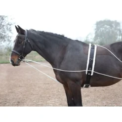 Shires Lunging Aid - Black -Cheap Equine Nest Store 553780 800 800