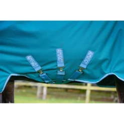 Amigo Bravo 12 Wug Turnout 400g - Storm Green/Turquoise/Aqua -Cheap Equine Nest Store 555782 800 800