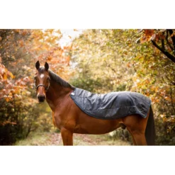 Rambo Autumn Series - Navy/Grey -Cheap Equine Nest Store 556634 800 800