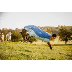 Rambo Autumn Series - Navy/Grey -Cheap Equine Nest Store 556636 800 800