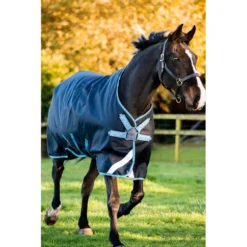 Amigo Bravo 12 Plus Disc Closure Turnout Bundle - Navy/Turquoise/Aqua/Blue -Cheap Equine Nest Store 591477 800 800