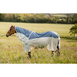 Amigo Ameco Combi - Teal/Grey