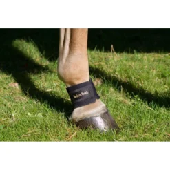 Back On Track Pastern/Fetlock Band - Black -Cheap Equine Nest Store 669286 800 800