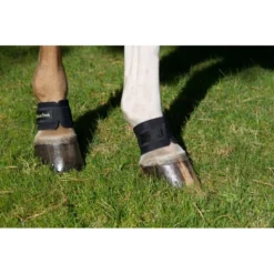 Back On Track Pastern/Fetlock Band - Black -Cheap Equine Nest Store 669287 800 800