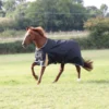 Shires Highlander Plus 200G Standard Neck Turnout - Black/Gold