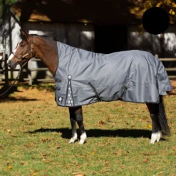 Equinavia Arktis Extended Neck Turnout Sheet - Charcoal Gray